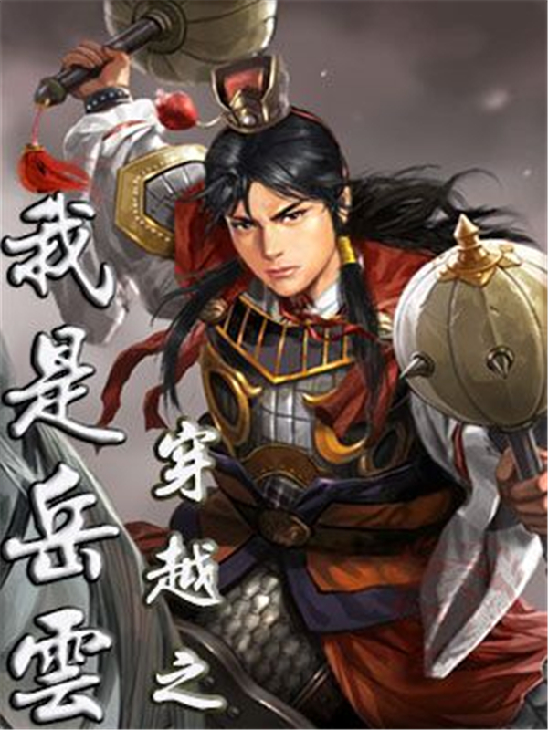 穿越之我是岳云