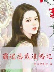 霸道总裁追婚记