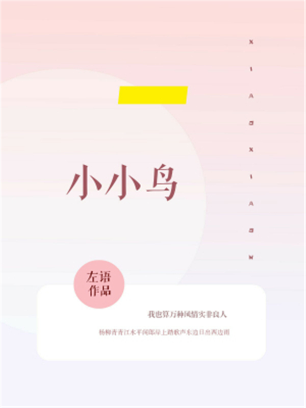 小小鸟
